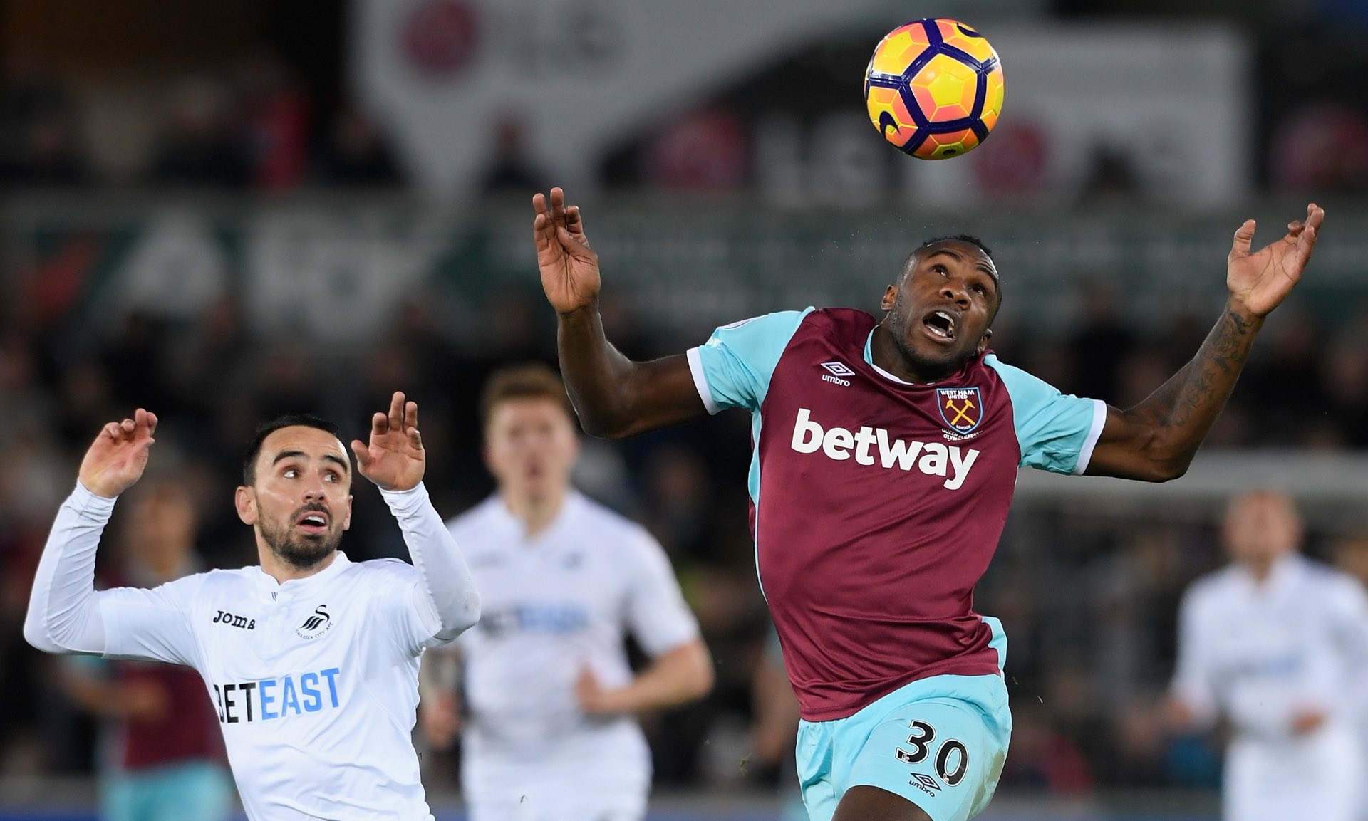 卫近年来在 卫近年来在